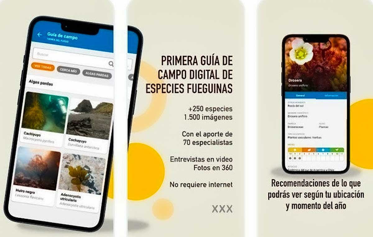 guia-de-especies-fueguinas guía de especies fueguinas